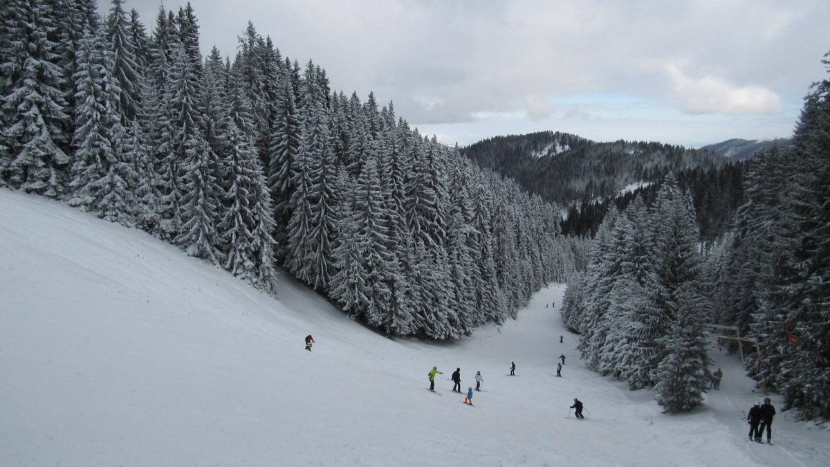 Domeniul Schiabil Băișoara